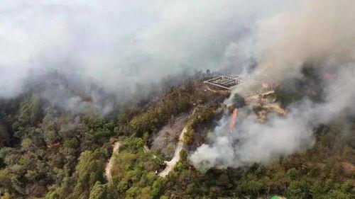 南安东大烧山最新爆料,揭秘神秘古墓背后的历史之谜 第3张 南安东大烧山最新爆料,揭秘神秘古墓背后的历史之谜 第3张